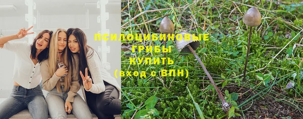 спиды Арсеньев