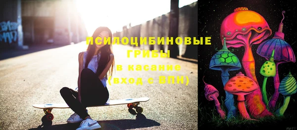 крисы Армянск